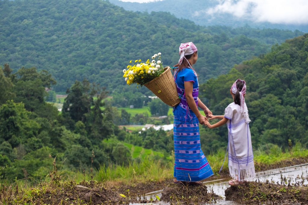 Hmong mother and daughter Chiang Mai rice field