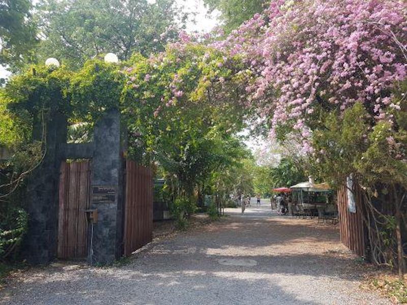 Bang Krachao compares favorably with Lumpini Park