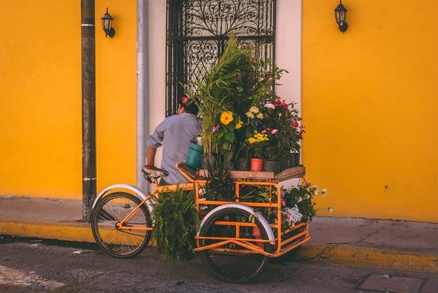 Merida flower seller