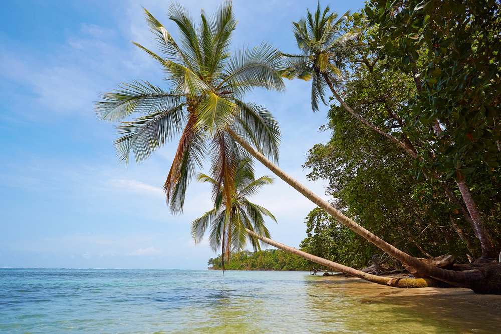 beaches in Cahuita national park
