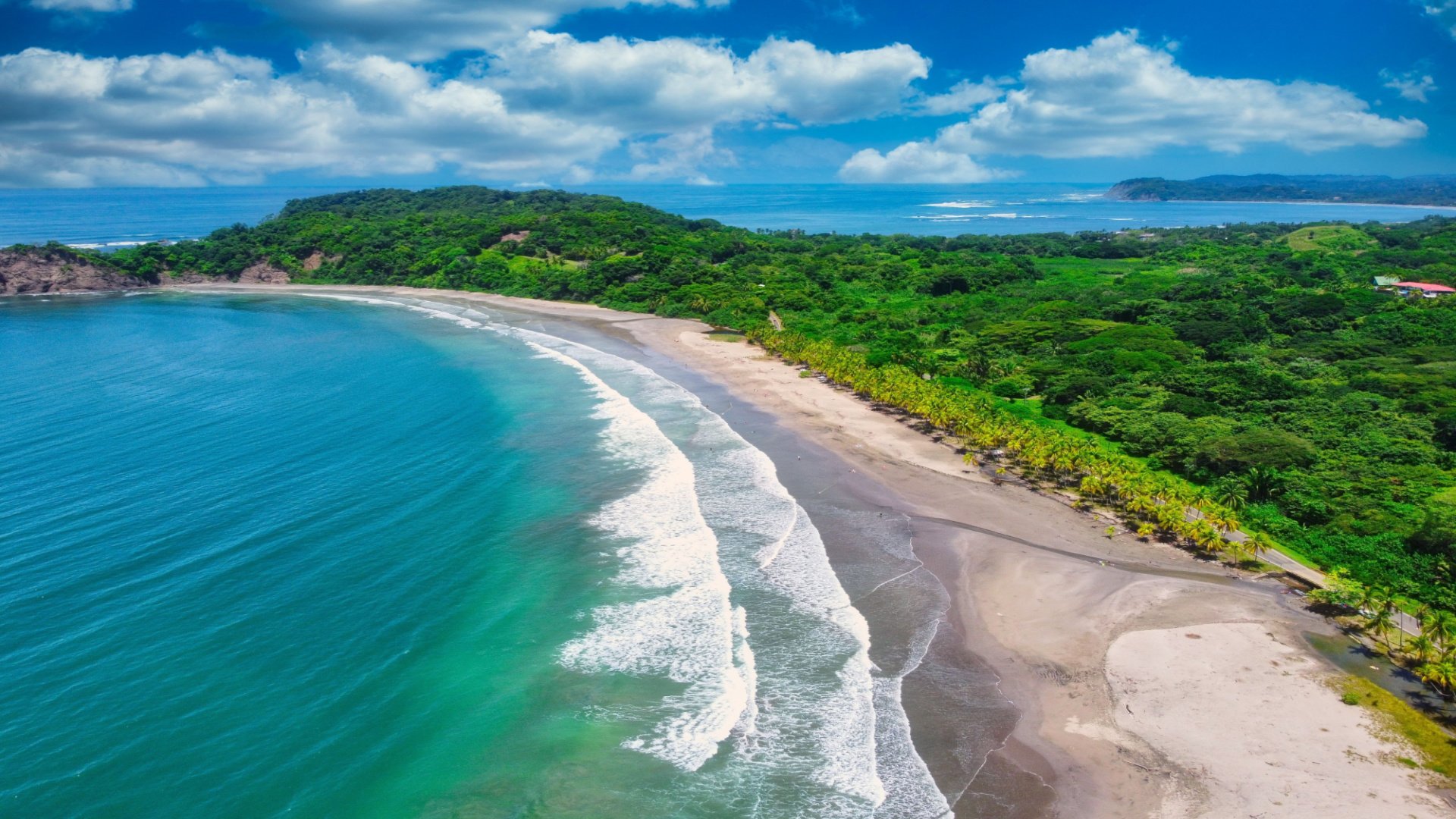 Your Ultimate Guide to Playa Grande, Costa Rica