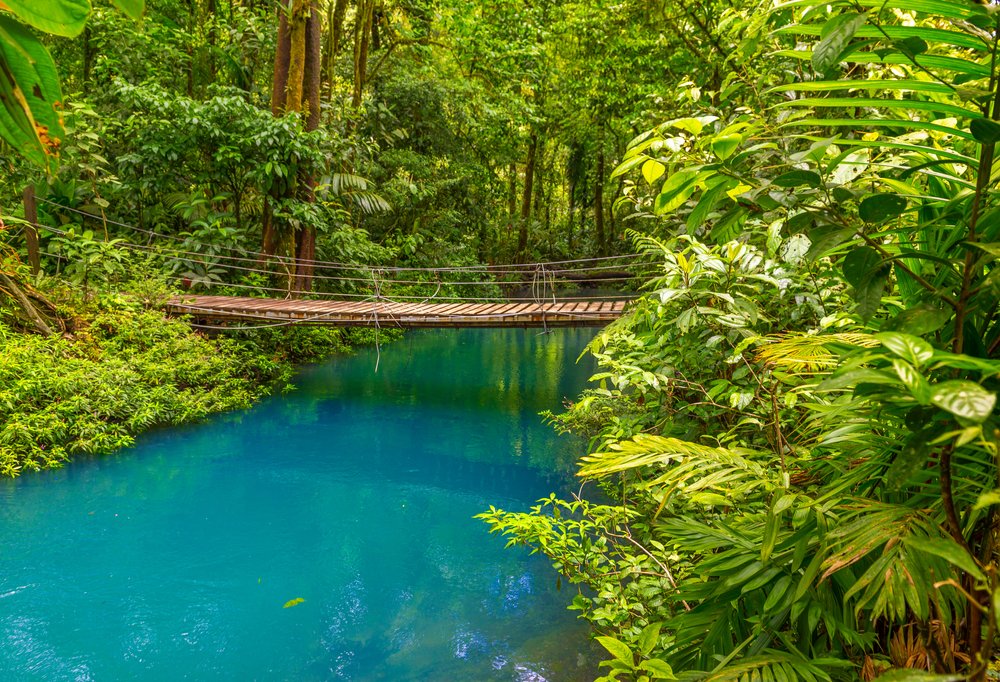 sky blue water and jungle with a bridge