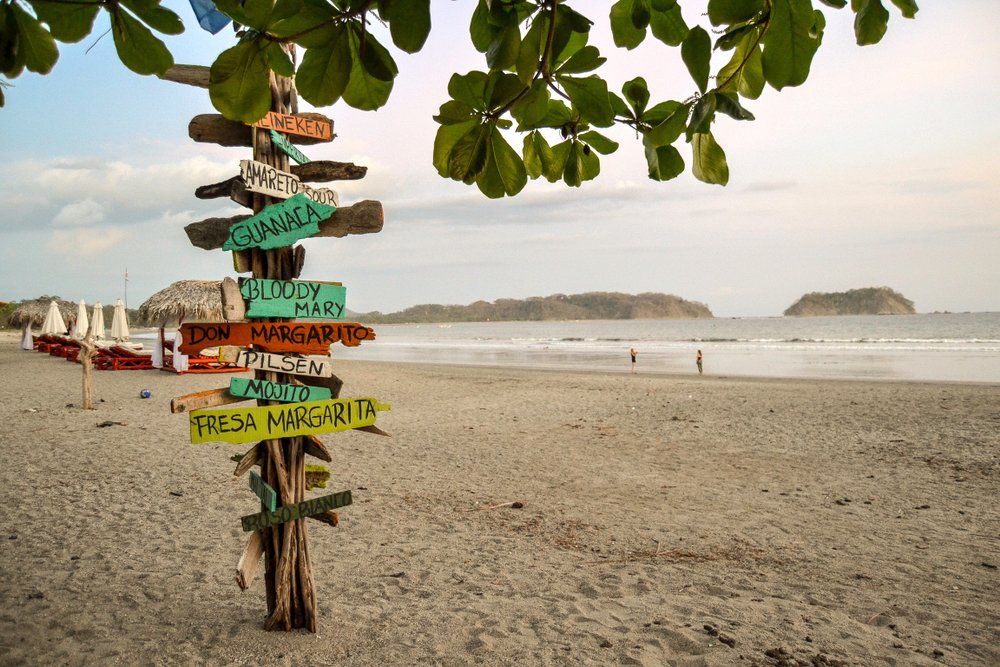 drink signs on a tree in Costa Rica