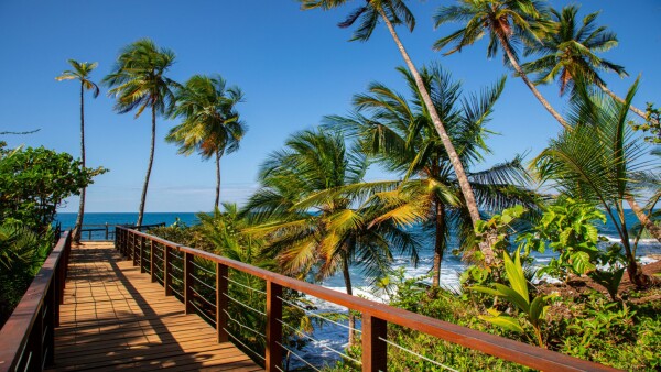 Playa Manzanillo Feature