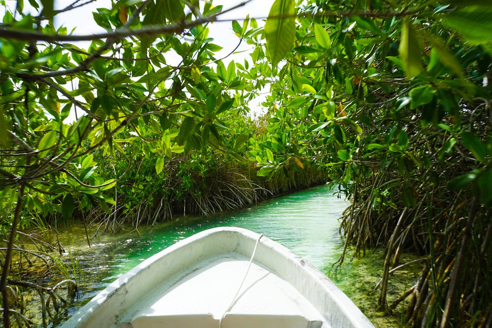 Sian Ka'an Biosphere Preserve near Playa Paraiso, Mexico