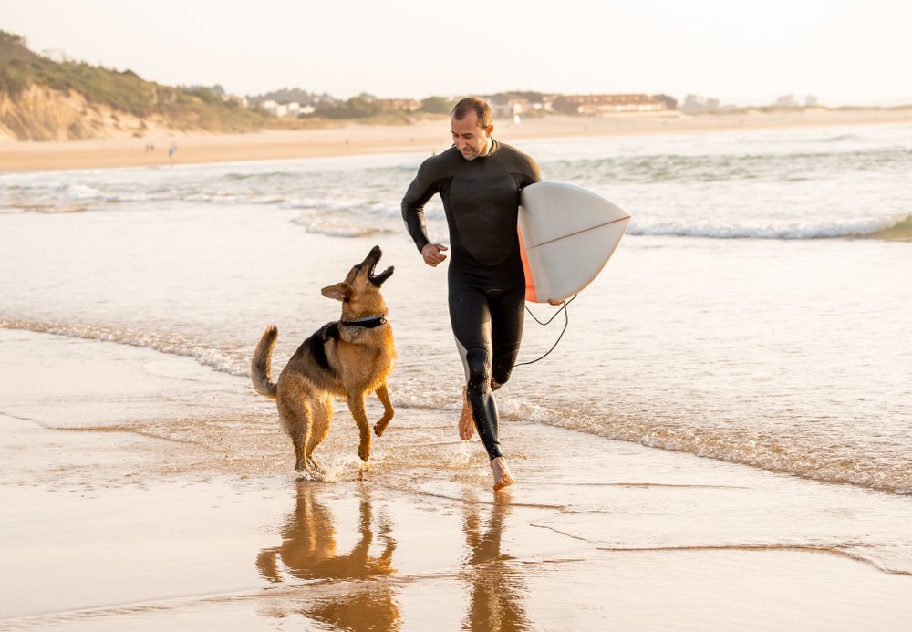 srufer running with board and dog in Playa Todos Santos, Mexico