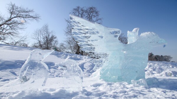 Snow festival Japan feature