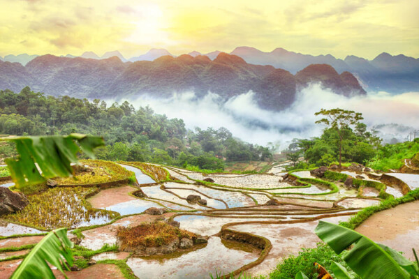 misty hills and rice terraces of National Park in Vietnam